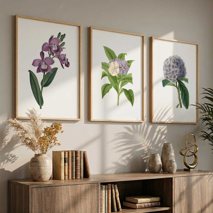 Floral Framed Wall Art Prints | Set of 3 | Home Decor