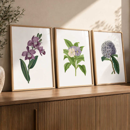 Floral Framed Wall Art Prints | Set of 3 | Home Decor