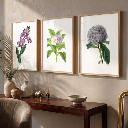 Floral Framed Wall Art Prints | Set of 3 | Home Decor