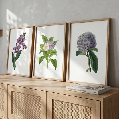 Floral Framed Wall Art Prints | Set of 3 | Home Decor