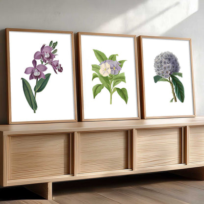 Floral Wall Art Home Decoration | Aesthetic Paintings With Frame For Living Room Bed Room Hotel Wall Decor Digital Reprint