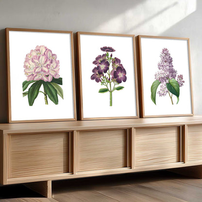 Floral Wall Art Home Decoration | Aesthetic Floral Paintings With Frame For Living Room Bed Room Hotel Wall Decor Digital Reprint