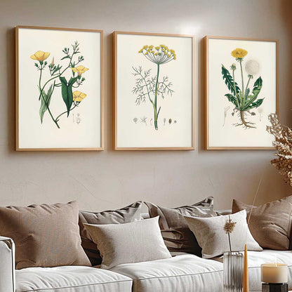 Aesthetic Botanical Art Home Decoration Painting | Floral Paintings With Frame For Living Room Bed Room Hotel Wall Decor Digital Reprint