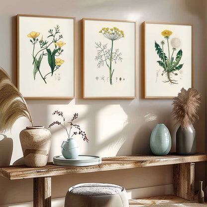 Aesthetic Botanical Art Home Decoration Painting | Floral Paintings With Frame For Living Room Bed Room Hotel Wall Decor Digital Reprint
