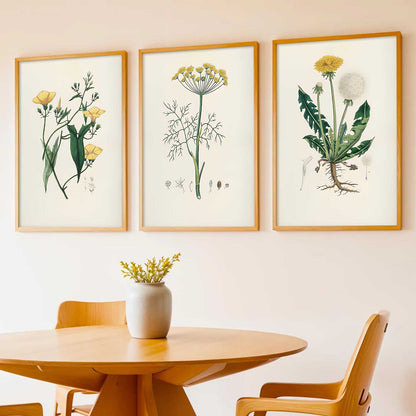 Aesthetic Botanical Art Home Decoration Painting | Floral Paintings With Frame For Living Room Bed Room Hotel Wall Decor Digital Reprint