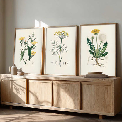 Aesthetic Botanical Art Home Decoration Painting | Floral Paintings With Frame For Living Room Bed Room Hotel Wall Decor Digital Reprint