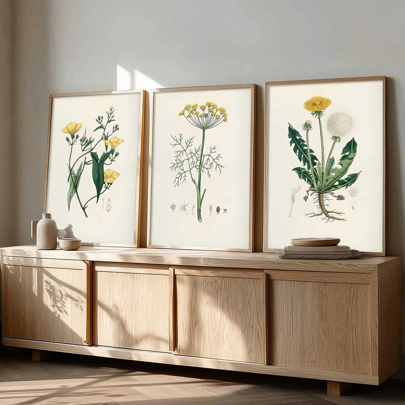 Botanical Framed Wall Art Prints | Set of 3 | Home Decor