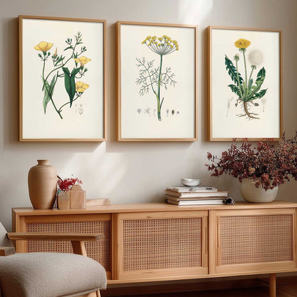 Aesthetic Botanical Art Home Decoration Painting | Floral Paintings With Frame For Living Room Bed Room Hotel Wall Decor Digital Reprint