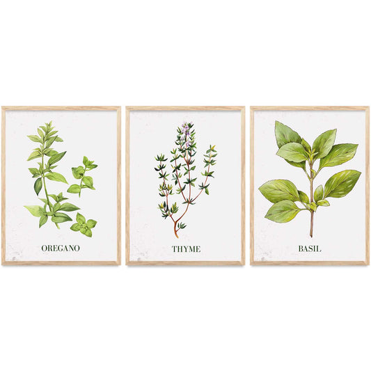 Floral  Wall Art Paintings for Living Room - Wall Poster With frames