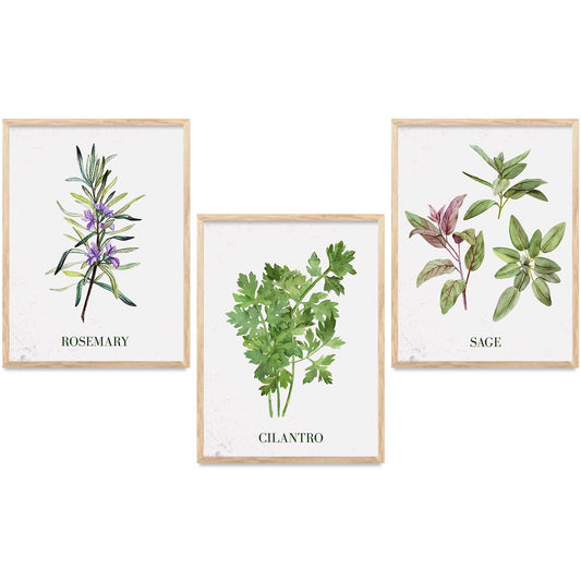 Floral   Wall Art Paintings for Living Room - Wall Poster With frames