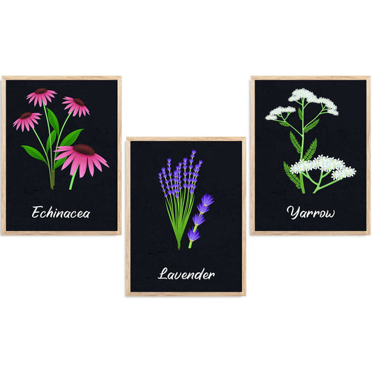 Floral  Wall  Art  Paintings for Living Room - Wall Poster With frames