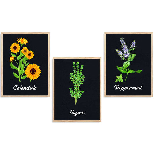 Floral  Wall Art  Paintings for Living Room - Wall Poster With frames