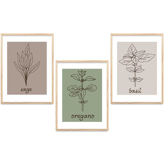 Floral  Wall  Art  Paintings for Living Room - Wall Poster With frames