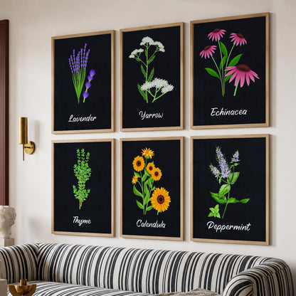 Kitchen Herbs Framed Posters for Restaurant Kitchen Dinning Room Cafe Wall Decor Set of 6