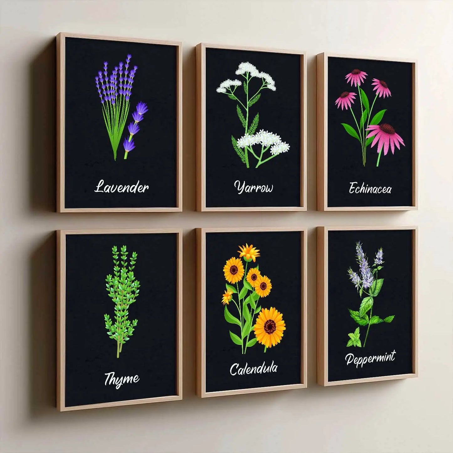 Kitchen Herbs Framed Posters for Restaurant Kitchen Dinning Room Cafe Wall Decor Set of 6