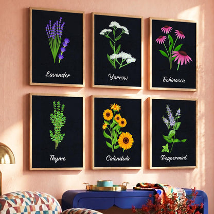 Kitchen Herbs Framed Posters for Restaurant Kitchen Dinning Room Cafe Wall Decor Set of 6