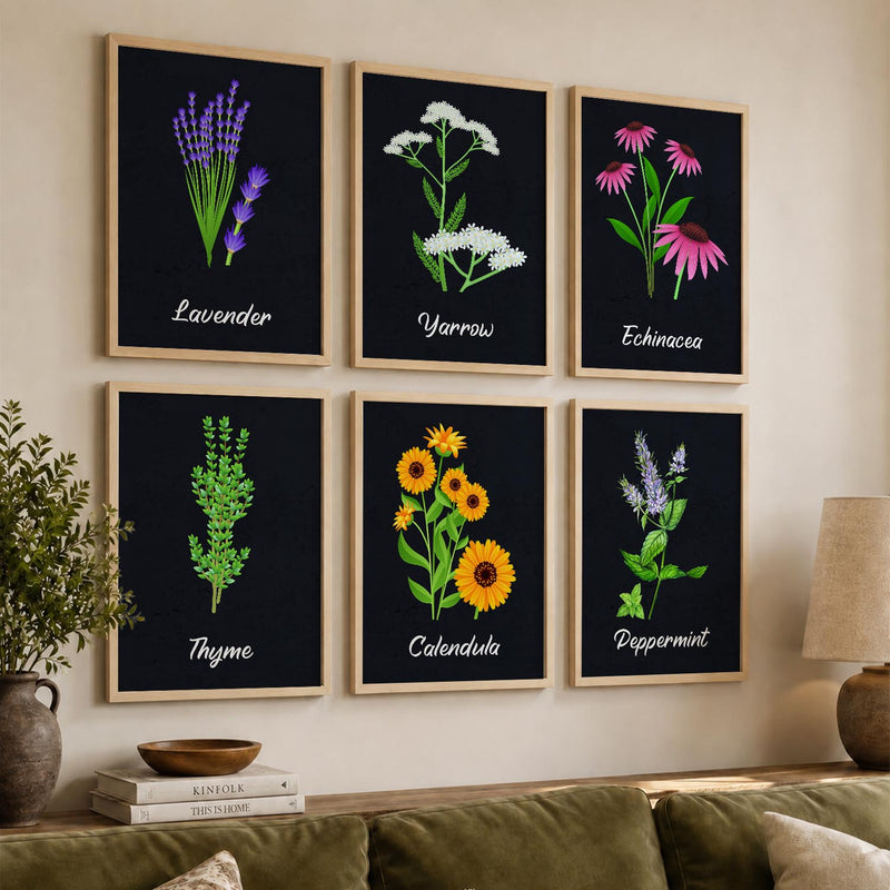 Kitchen Herbs Framed Posters for Restaurant Kitchen Dinning Room Cafe Wall Decor Set of 6