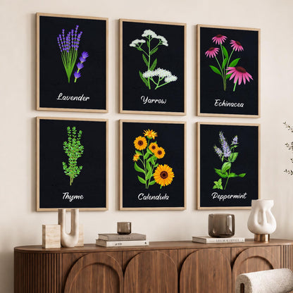 Kitchen Herbs Framed Posters for Restaurant Kitchen Dinning Room Cafe Wall Decor Set of 6