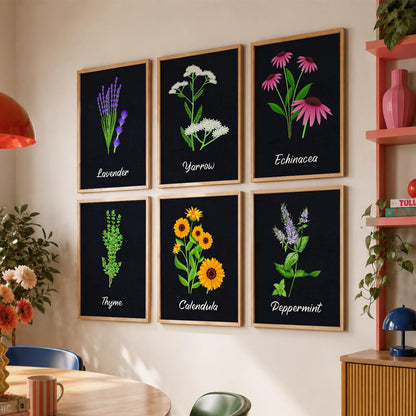 Kitchen Herbs Framed Posters for Restaurant Kitchen Dinning Room Cafe Wall Decor Set of 6