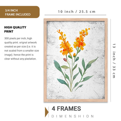 Nature Inspired Art Prints with Frame for Living Room Bedroom Home and Office Wall Decor Set of 6