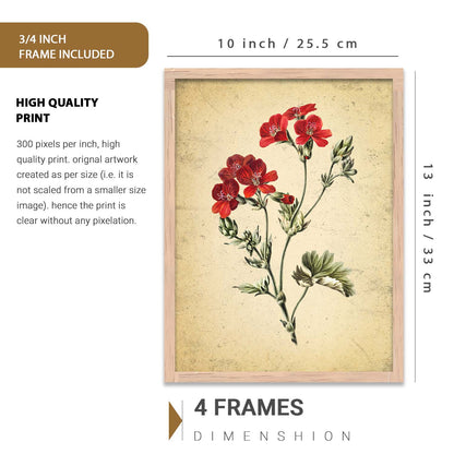 Nature Inspired Art Prints with Frame for Living Room Bedroom Home and Office Wall Decor Set of 6