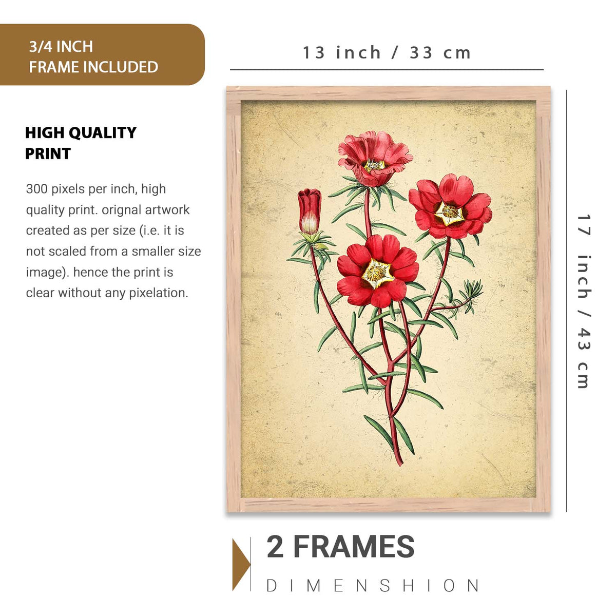 Nature Inspired Art Prints with Frame for Living Room Bedroom Home and Office Wall Decor Set of 6