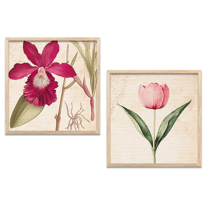 Botanical  Wall Art Paintings  with Frame for Wall Decor