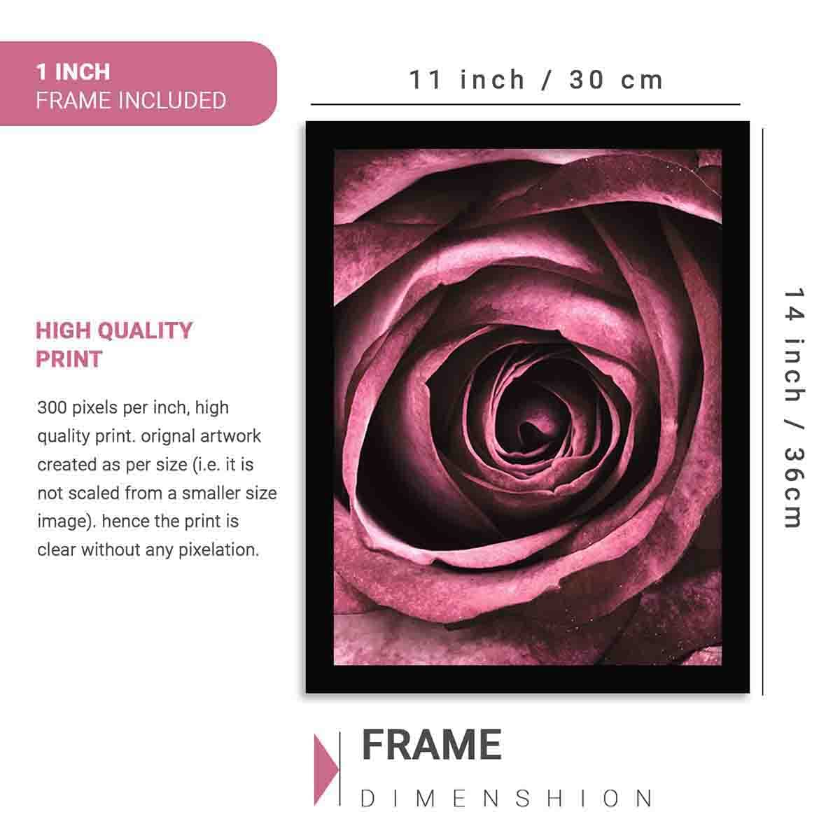 Rose Magic - Elegant Flower Theme Posters with Frame-Kotart